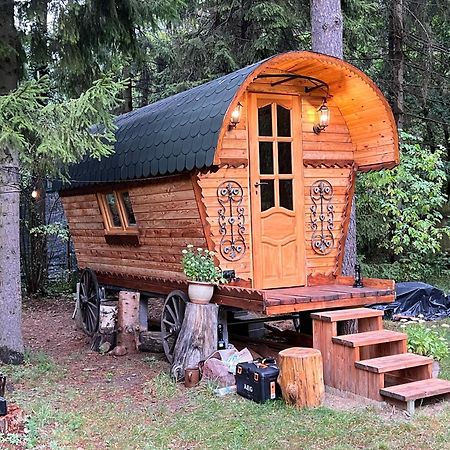 Modrzewiowy Dworek Zyzdrojowy Piecek المظهر الخارجي الصورة